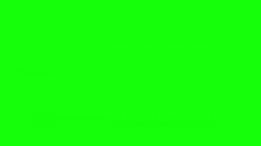 Çember Yüzük Aksanı Elementleri. Yeşil Ekranda 4k Canlandırma (Chroma Key) Arkaplan