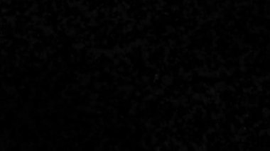 Film Gürültüsü veya Tahılsız Doku. Eski Hasarlı Film Yüzeyinde Gürültü, Toz ve Tahıl. Kusursuz Döngü Animasyonu 4K. Klasik ve Eski Moda Film Efektleri.