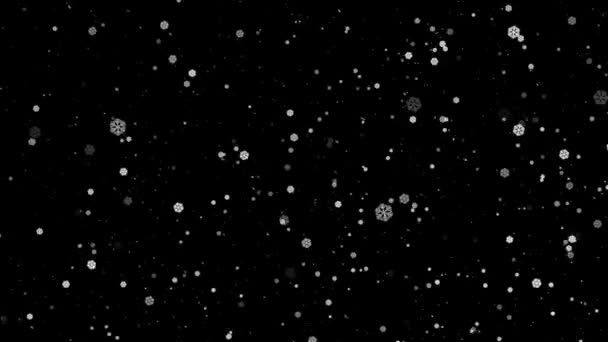 Sneeuwval Kerstsneeuwstorm Deeltjes Sneeuwvlokken Wervelend Sneeuw Beweegt Door Ruimte Motion — Stockvideo