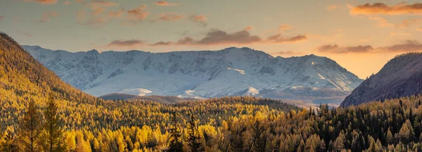 Γραφική Πανοραμική Εναέρια Θέα Χιονισμένες Βουνοκορφές Της Κορυφογραμμής North Chuyskiy — Φωτογραφία Αρχείου