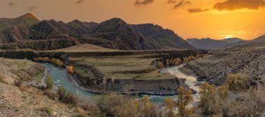 Altai Dağları. Günbatımında güzel dağlık sonbahar panoramik manzarası. Altın saat. Altın ağaçlar ve nehir ile kayalık bir ön plan. Güzel altın gökyüzü ve arka plan olarak dağlar. - Rusya. Sibirya