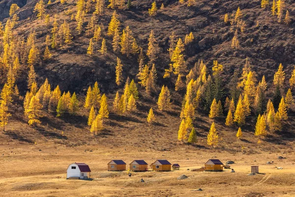 Montañas Altai Hermoso Paisaje Panorámico Otoño Tierras Altas Cabañas Madera — Foto de Stock