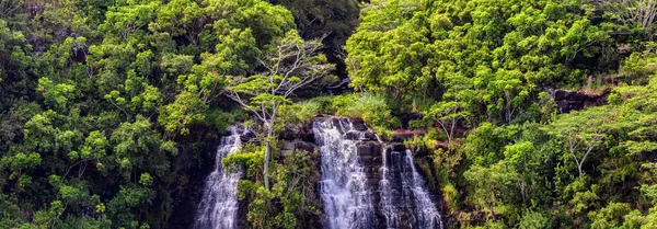 Beautiful Panoramic View Opaekaa Waterfalls Hawaii Island Kauai Lush Green — Stock Photo, Image