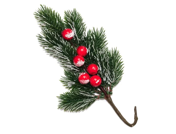 装飾的なクリスマスは雪で覆われた赤い果実でモミの小枝を霜 白い背景に隔離されている 撃たれたぞ 冬の休日の装飾コンセプト — ストック写真