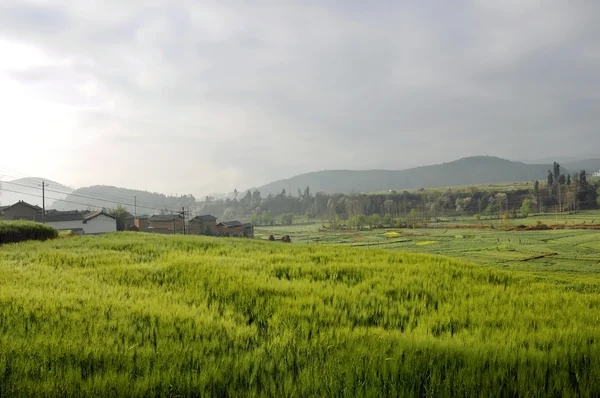 China Yunnan Village Campo — Foto Stock