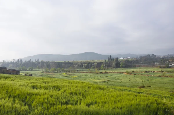 Campo de aldeia de China Yunnan — Fotografia de Stock