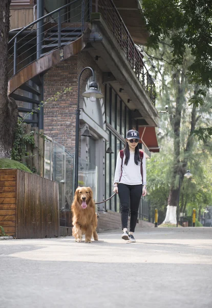 Chica y su golden retriever —  Fotos de Stock