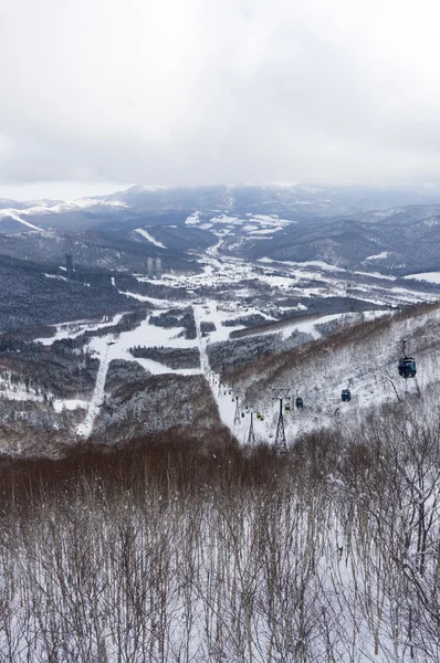 Japonya Hokkaido açık kar görünümü — Stok fotoğraf