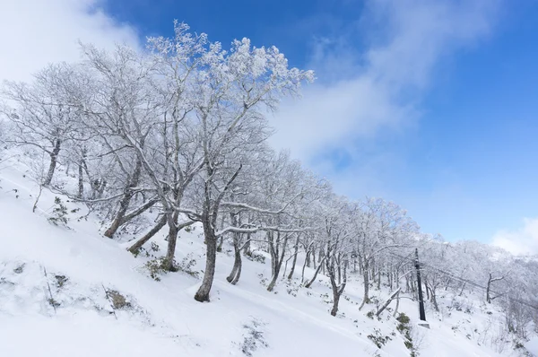 Rime view of Japan — Stock Photo, Image