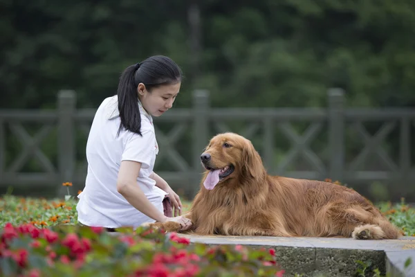 Menina encantadora e seu cão — Fotografia de Stock