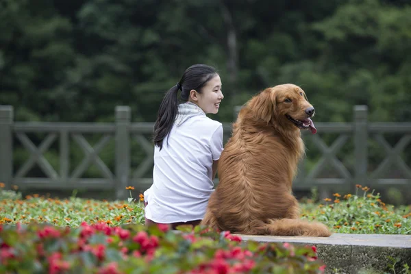 Menina encantadora e seu cão — Fotografia de Stock