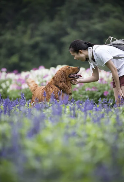 사랑 스러운 소녀와 그녀의 강아지 — 스톡 사진