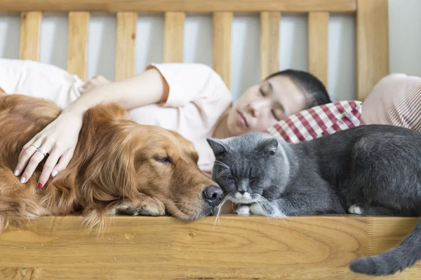 Gatto e cane e ragazza dormire — Foto Stock