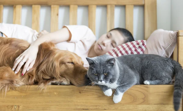 Gatto e cane e ragazza dormire — Foto Stock
