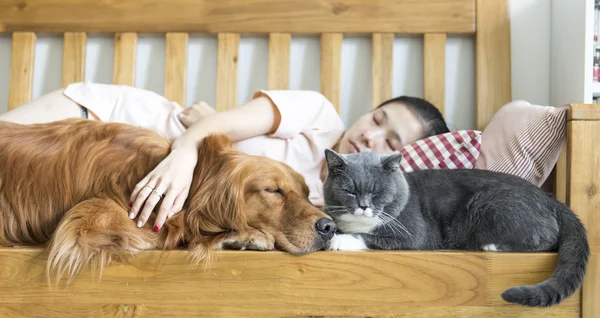 Gatto e cane e ragazza dormire — Foto Stock