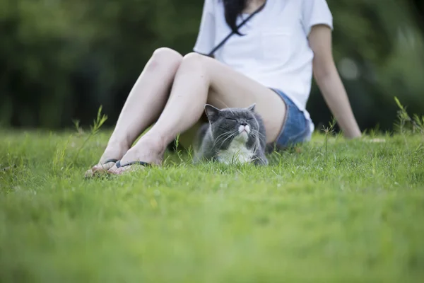 Menina e gato na grama — Fotografia de Stock