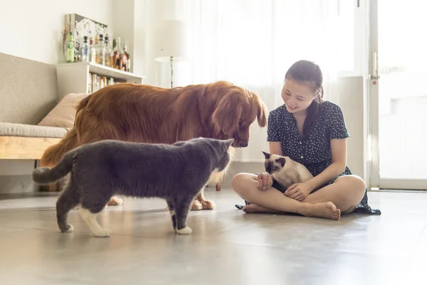 Andare d'accordo con gatti, cani e ragazze — Foto Stock