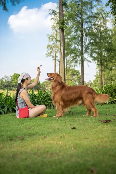 Chicas y golden retriever — Foto de Stock