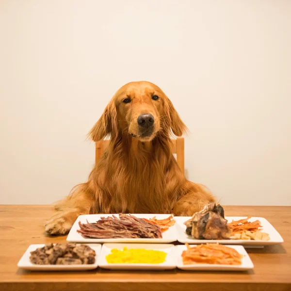 Golden Retriever essen am Tisch — Stockfoto