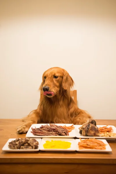 Golden retriever comendo na mesa — Fotografia de Stock