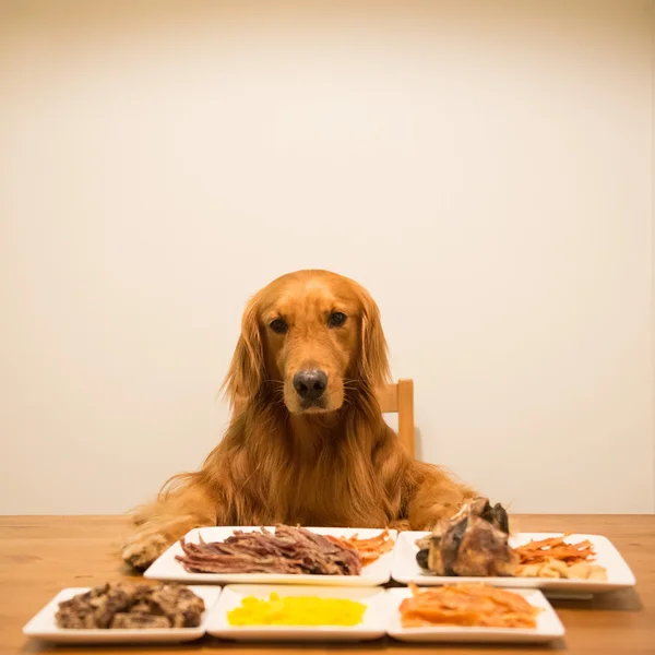 Golden retriever eating at the table