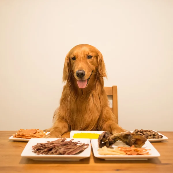 Golden retriever eating at the table