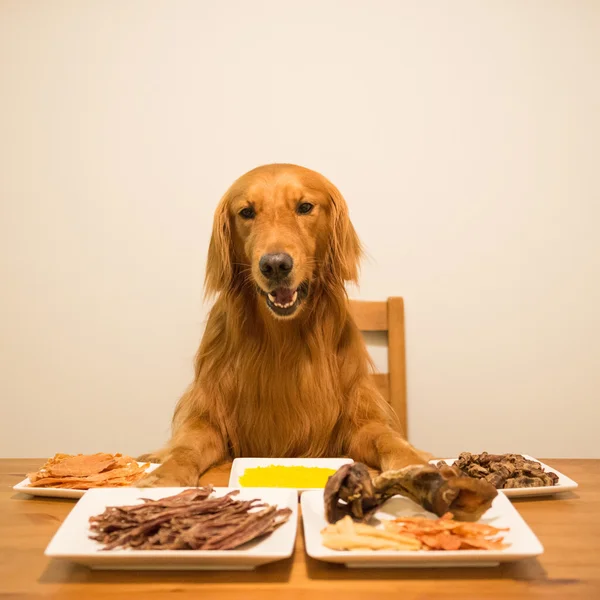 Golden retriever eating at the table