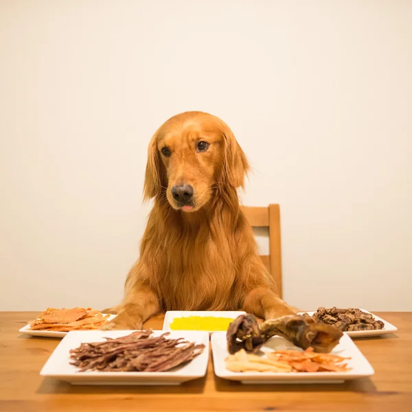 金毛猎犬在桌旁吃饭 — 图库照片