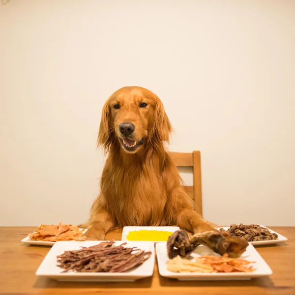 金毛猎犬在桌旁吃饭 — 图库照片