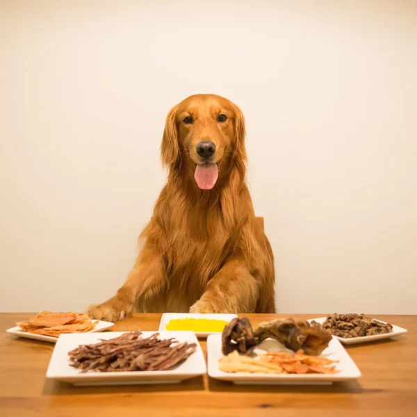 Golden retriever eating at the table