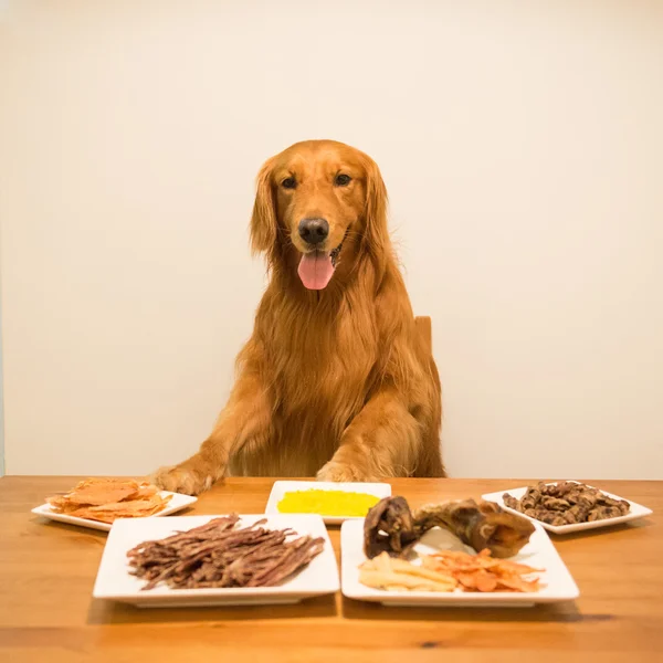 金毛猎犬在桌旁吃饭 — 图库照片