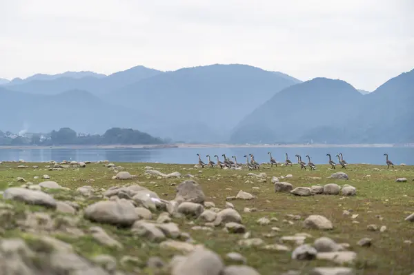 Bellissimo Scenario Naturale Montagne Laghi — Foto Stock