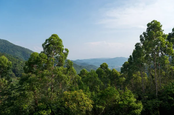 Prachtig Landschap Vanaf Top Van Berg — Stockfoto