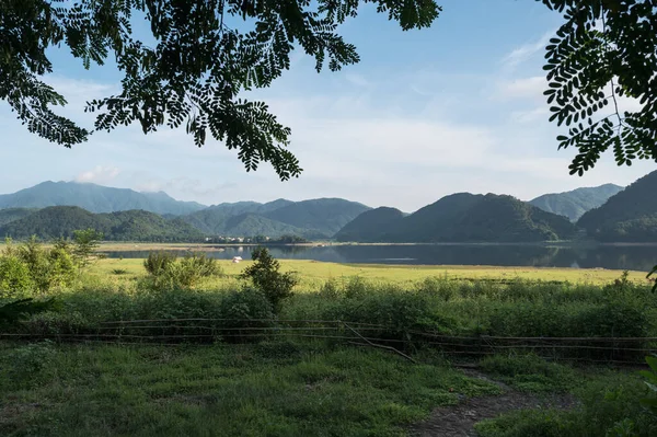 牧草地の美しい自然の風景 — ストック写真