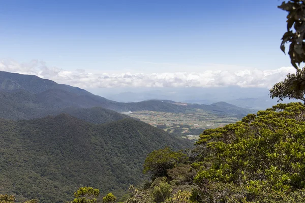 Montanha Pico — Fotografia de Stock