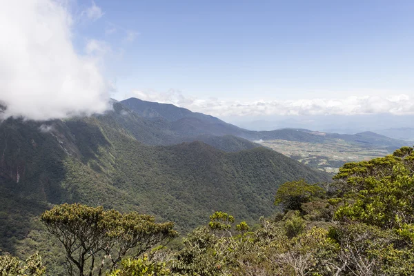 Mountain peak — Stock Photo, Image