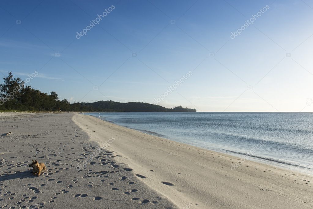 chendongshan