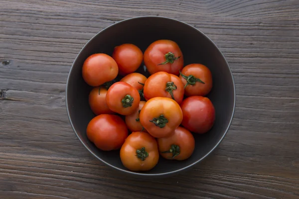 The pot of tomato — Stock Photo, Image