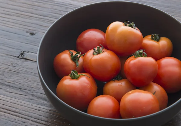 The pot of tomato — Stock Photo, Image