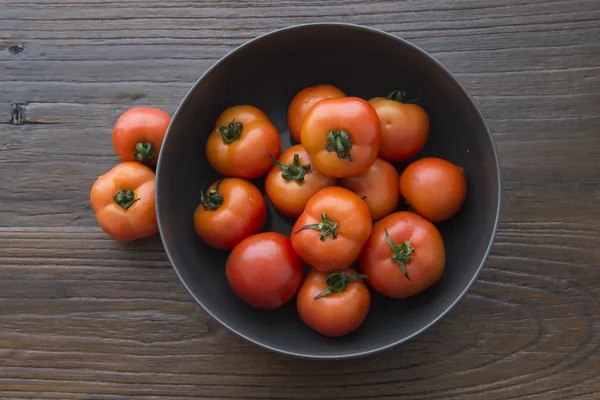 The pot of tomato — Stock Photo, Image