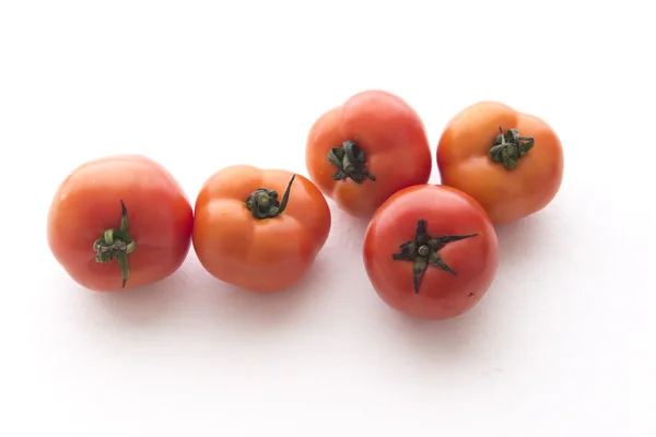 Uma pluralidade de tomates — Fotografia de Stock