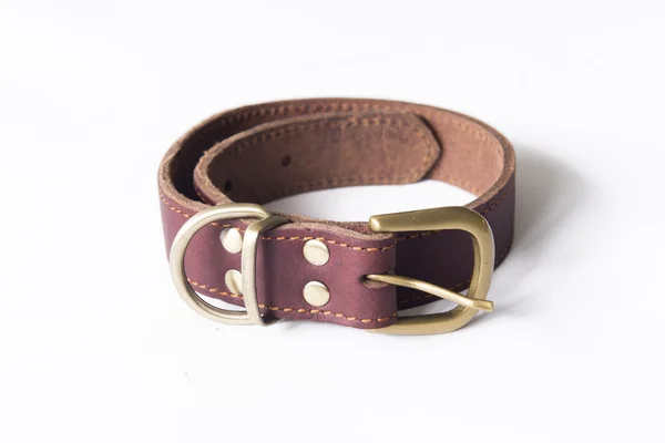 Pet Dog Collar — Stock Photo, Image