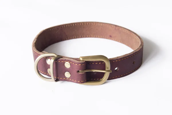 Pet Dog Collar — Stock Photo, Image