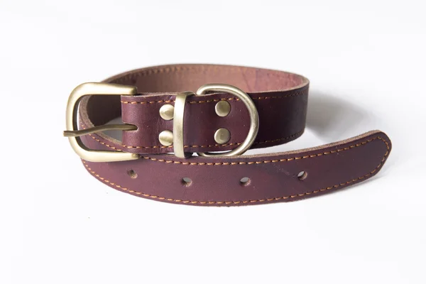 Pet Dog Collar — Stock Photo, Image