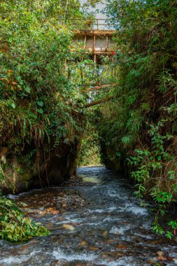 Dar, ağaçlarla kaplı bir dağ geçidinde taşralı bir köprünün altından akan nehir suyu.