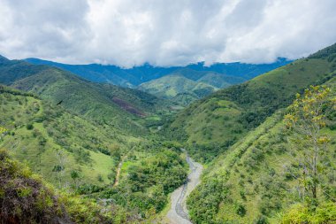 Kolombiya 'da bulutlu bir gökyüzünün altında akan yeşil bir nehir ve dağlar.