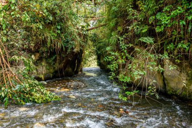 Nehir suyu, tropikal bir kanyonda yoğun yeşil bitki örtüsüyle çevrili kayaların üzerinden akar.