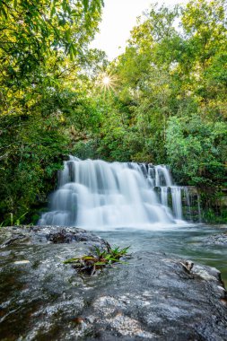 Bereketli tropikal bitki örtüsüyle çevrili, ipeksi, akan bir su ile dolu bir şelale yoğun yeşil ağaç tepe örtüsünü delip geçer ve huzurlu ve doğal bir ortam yaratır.