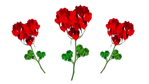 Szczęśliwych Walentynek Animacja Serca Kwiaty Cudowny Prezent Szczęśliwych Walentynek — Wideo stockowe