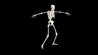 Dans eden İskelet 3 boyutlu. Üç boyutlu İskelet Dans Animasyonu. İskelet 3D dans.